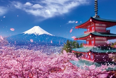 1000片 淺間神社-櫻花和富士山