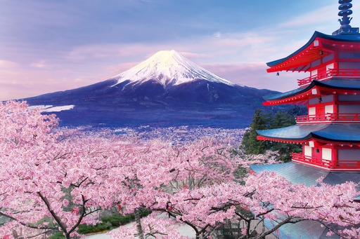 1000片 山梨縣-五重塔之櫻花和富士山
