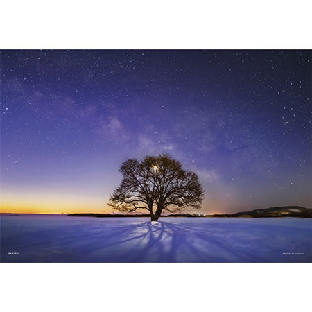 300片 天空物語-北海道 哈尼爾樹和銀河 (夜光版)