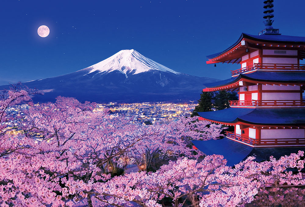 1000片 世界遺產 富士山夜櫻淺間神社